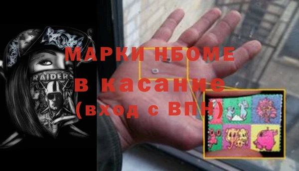 мдпв Бородино
