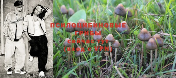 мдпв Бородино