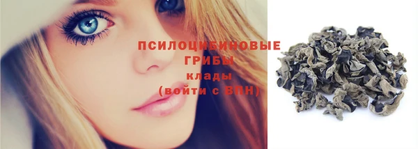 мдпв Бородино