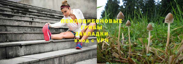 мдпв Бородино