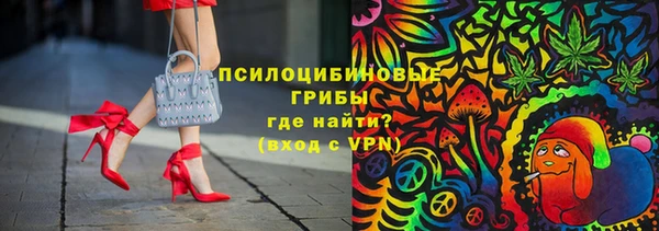 мдпв Бородино